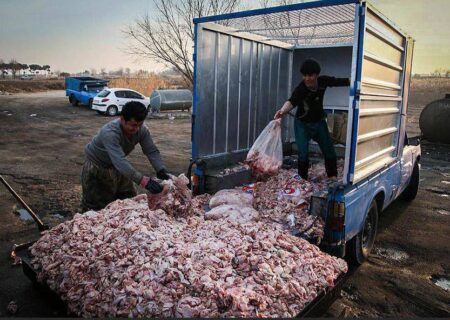 ایران یارانه بنزین اروپا را می‌دهد!