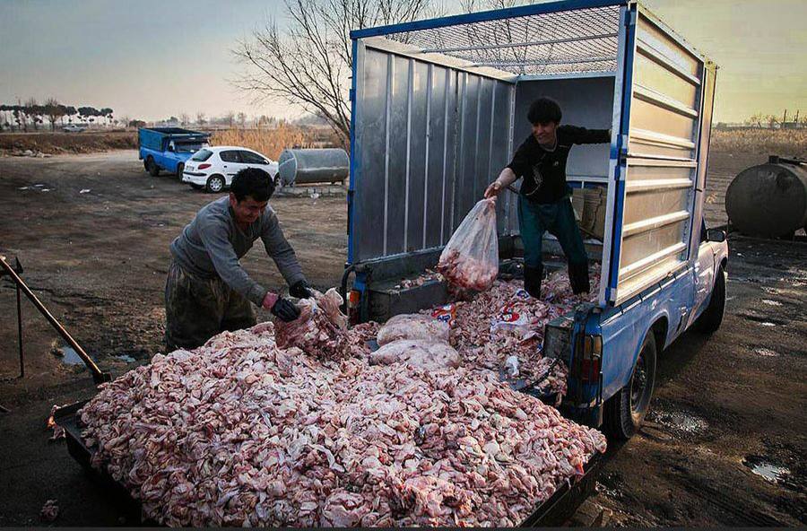 ایران یارانه بنزین اروپا را میدهد!