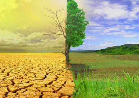 آذربایجان‌شرقی در نقطه حساس اقلیمی؛ ضرورت بازطراحی الگوی کشت