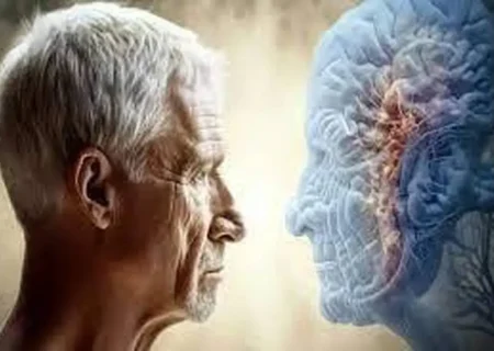 اثرات پنهان آلودگی هوا بر «پیری زودرس مغز»