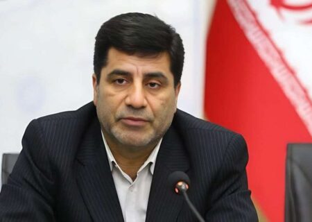 معاون وزیر کشاورزی: ثبات در بازار نهاده های دامی نیازمند رویکردی برنامه محور است