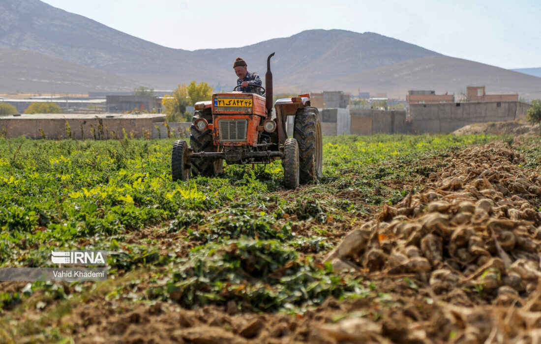 افزایش اراضی کشاورزی در ۲۰ سال گذشته، ۲ میلیارد متر مکعب از حقآبه دریاچه ارومیه را بلعید