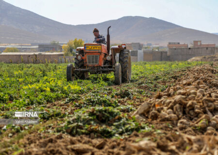 افزایش اراضی کشاورزی در ۲۰ سال گذشته، ۲ میلیارد متر مکعب از حق‌آبه دریاچه ارومیه را بلعید