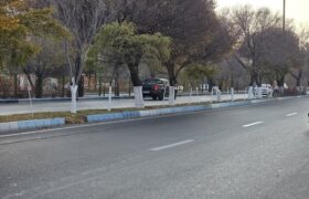 اندود تنه درختان در راستای مبارزه با آفات، بیماری‌های قارچی و فیزیولوژیک