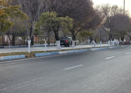 اندود تنه درختان در راستای مبارزه با آفات، بیماری‌های قارچی و فیزیولوژیک