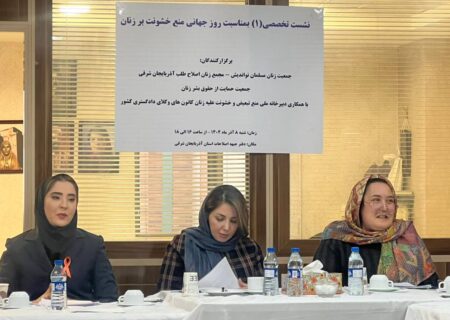 نشست تخصصی روز جهانی مبارزه با خشونت بر زنان در تبریزبرگزار شد/ از بررسی خشونت‌های پنهان بر زنان تا ضرورت مطالبه‌گری