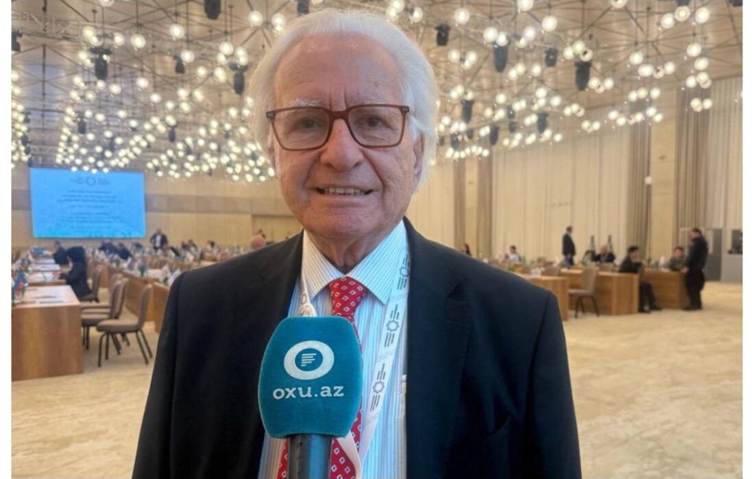 نوه خان ایروان: شنیده شدن صدای ما در پلتفرمهای بینالمللی بسیار مهم است