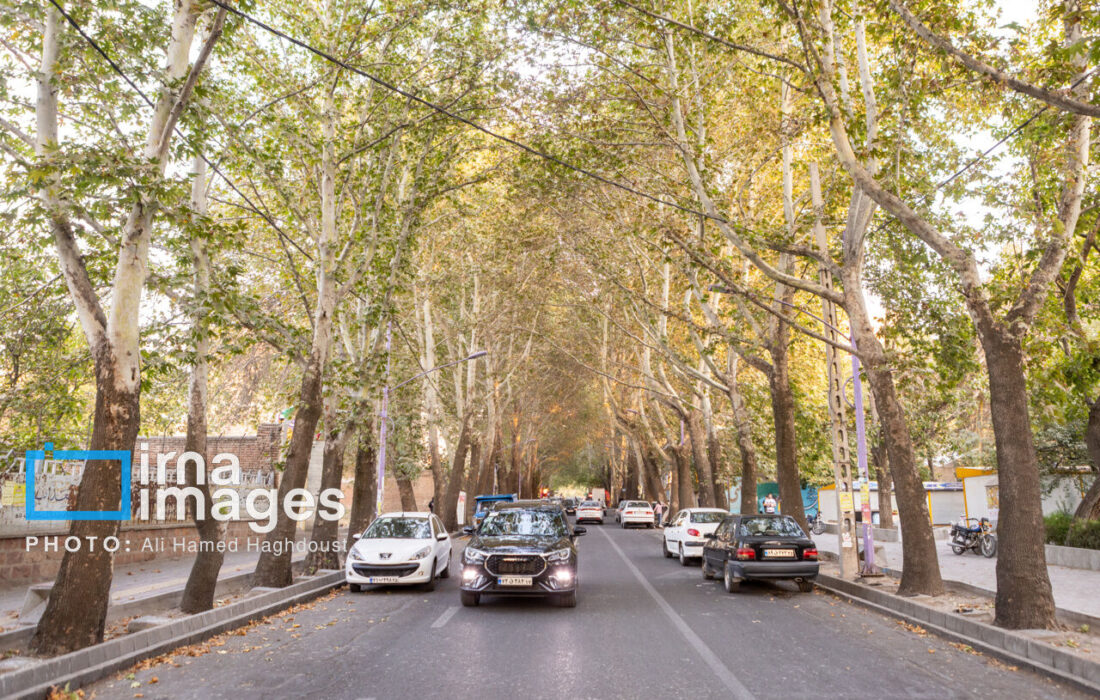 مراغه به شبکه جهانی شهرهای یادگیرنده یونسکو پیوست