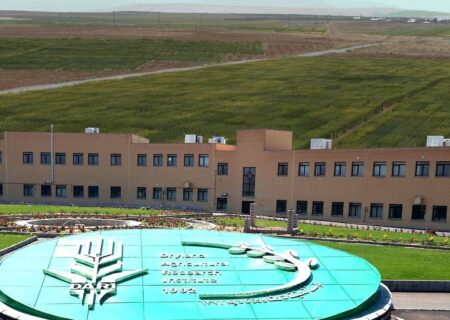 اجرای ۱۲۵ طرح پژوهشی توسط موسسه تحقیقات کشاورزی دیم