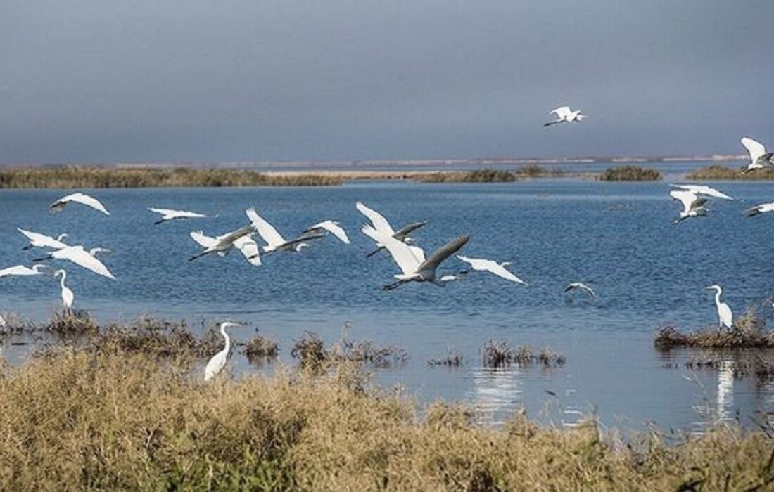 تالاب‌های اردبیل؛ مقصدی برای گردشگری طبیعت