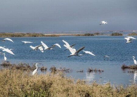 تالاب‌های اردبیل؛ مقصدی برای گردشگری طبیعت