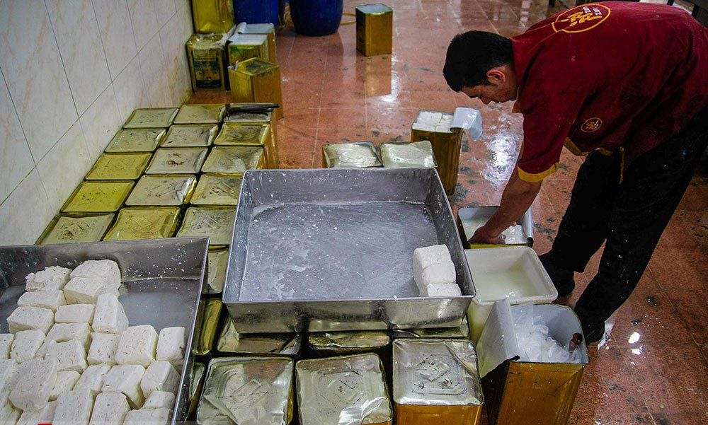 لیقوان؛ برند ملی پنیر ایران که محروم از سرمایهگذاری مانده است