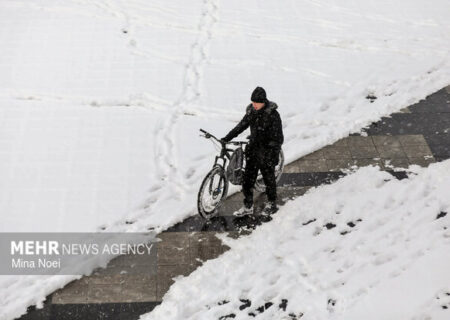 افزایش ۱۱۴ درصدی بارش‌ها در مراغه